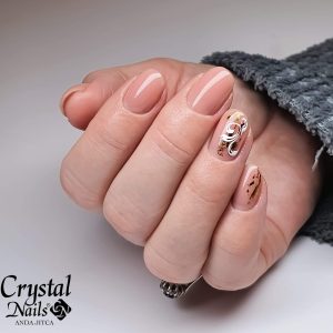 compact-base-gel-translucent-nude-AN3
