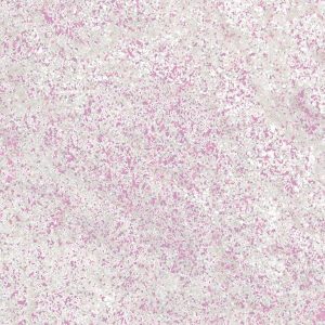 MN_chameleon_chrome_2_pink_szin