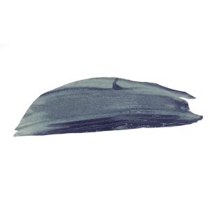Thuya-bluish-black1