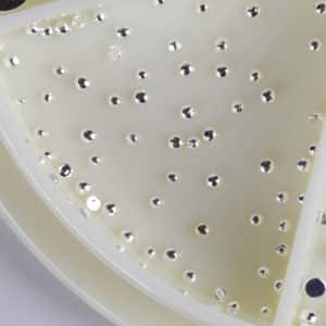 CN Half Beads refill - metal silver 1,5mm